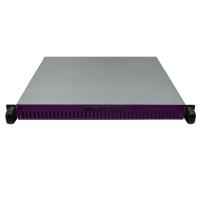 TGC 10395 1U SERVER KASA 400W 2X3.5 2 X 2.5 PURPLE